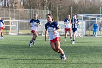 Bild 203 - wBJ Hamburger SV - Hertha BSC : Ergebnis: 2:1